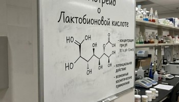 Лактобионовая кислота