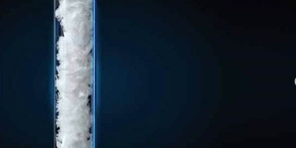 Экзополисахариды